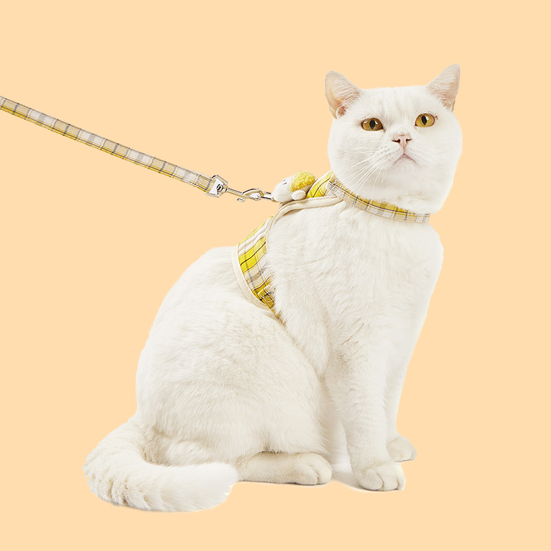 Correa de perro pequeño Chaleco de perro Cadena de perro oso de peluche correa de perro suministros para mascotas gato correa de pecho