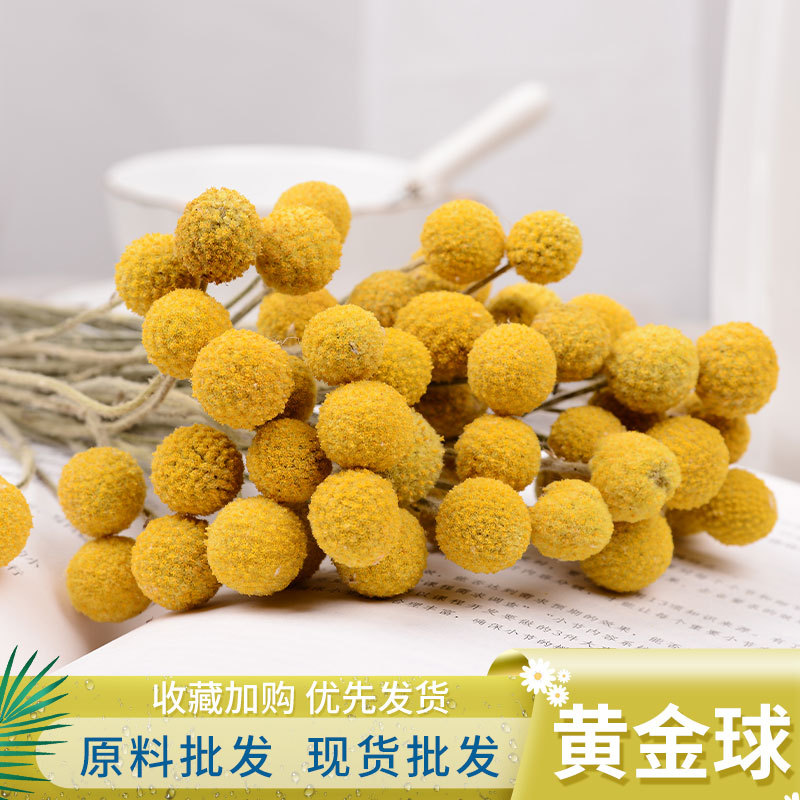 黄金球干花 云南永生花花束厂家现货批发家居装饰花束配件直发