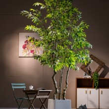 ���������������Gֲ�߶��p����ط��滨��٘�ٻ��쾰�b[��