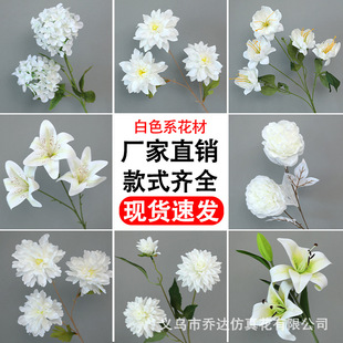 ��ɫ���滨�����m���l��c�b�ˇ�����ٻ����ϻ����ҾӲ廨��Ʒ