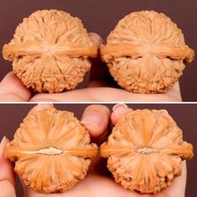 ������Ґ���ת{���^�ְѼ����l���l��������S���ֽ�ԭɫ�Ϻ���