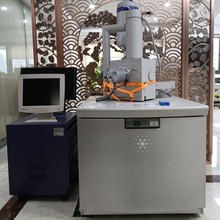 ِĬw FEI QUANTA 200@΢RVx|֣