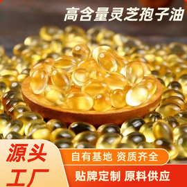 灵芝孢子油软胶囊厂家现货代发批发孢子粉萃取高含量破壁礼盒盒装