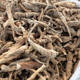 Ұ��ș���݅� ��ɳ�� ��ɳ�� ë�h�� ë�l�� ������Ʒ�o��ȡ