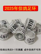 _hh2025ӭhyһhӛ̖hþh