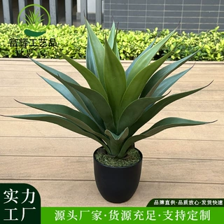 仿真绿植皇冠兰盆栽花卉盆景摆件假植物剑麻高端室内假龙舌兰