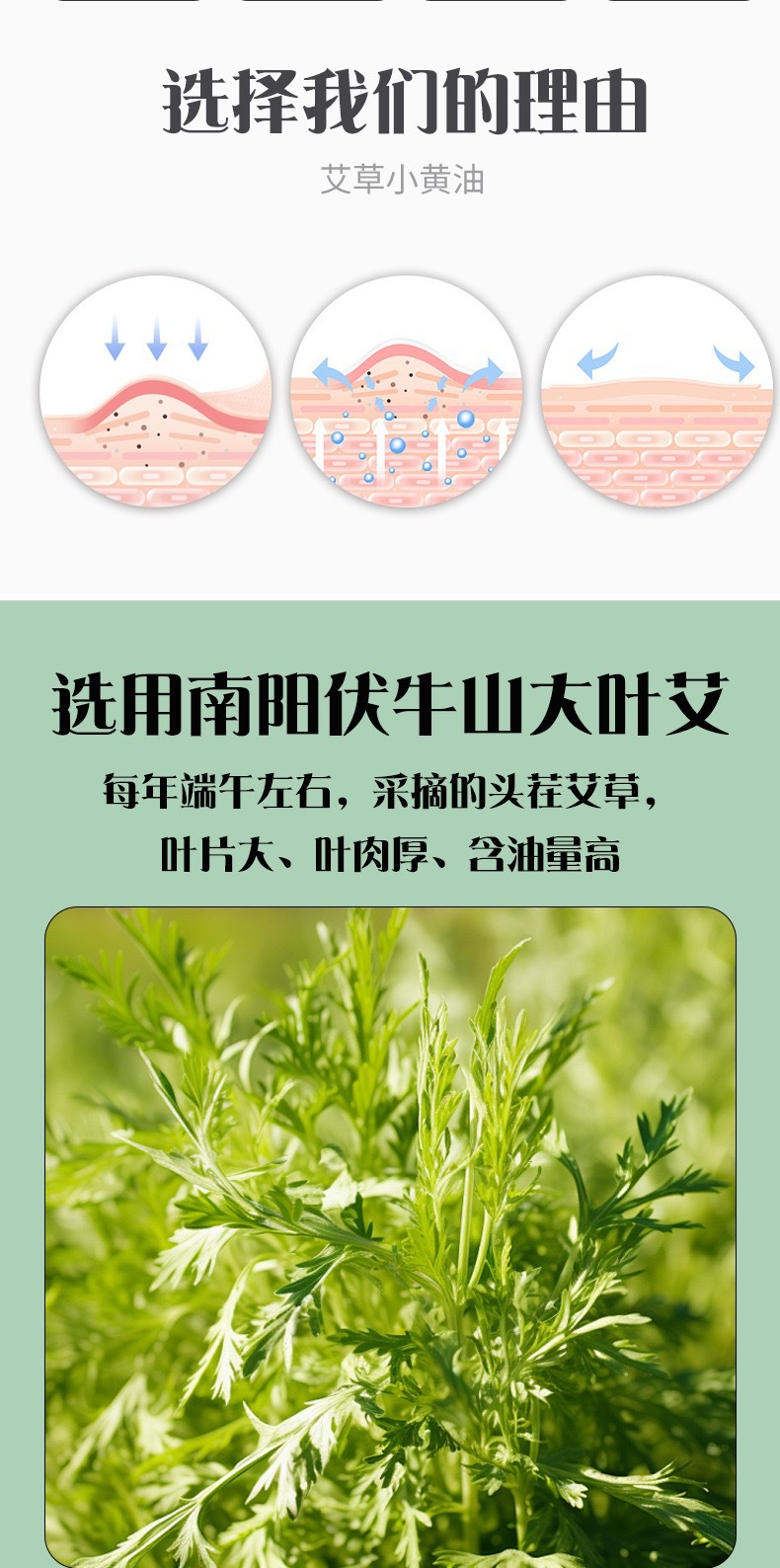 Mifutang Mugwort Little Butter Balm 20g Ai Cao Herbal Skin Care Cream for Body and Home Wellness key features