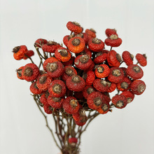 蔷薇果干花果实客厅家居装饰喜庆婚庆场景装饰天然干果民宿装饰