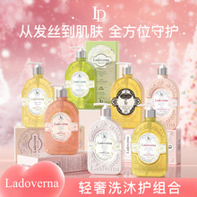 Ladoverna沐浴露香水型持久洗护蓬松控油洗发水清洁高级感香氛