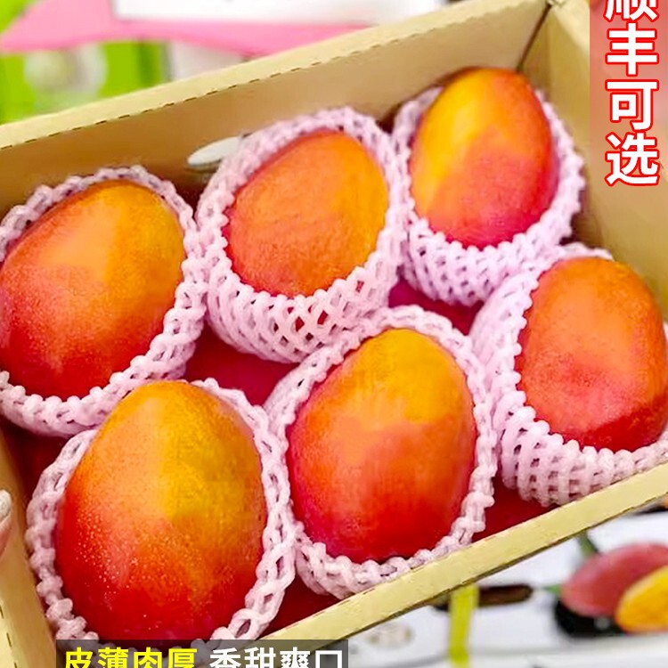 Fresh Guifei Mango 5kg Mangoes Seasonal Fruit Panzhihua Mangoes Freshly Picked Kate Mangoes Rainbow Mangoes Large Fruits Free Shipping