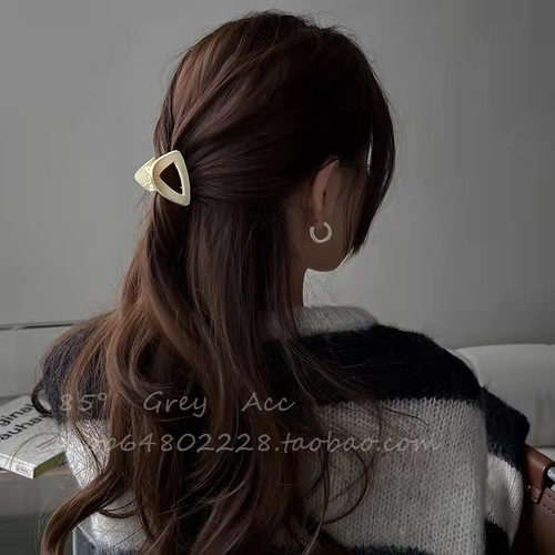 Frosted triangular hairpin female trendy Internet celebrity  new high ponytail grab clip niche back head clip headwear