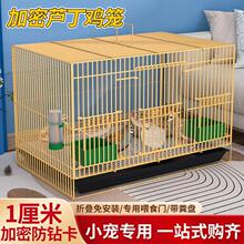 芦丁鸡专用笼加密雏鸡笼室内家用大号鹌鹑笼柯尔鸭笼小黄鸭笼包邮