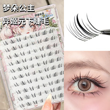 ���乫�� �����½�ë͸������Ȼ�δص�������������R����Ů�F