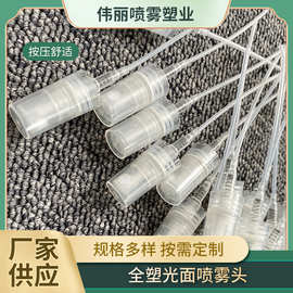 工厂生产12牙光面型全塑料喷雾泵头喷头喷雾头小样工厂直供化妆品