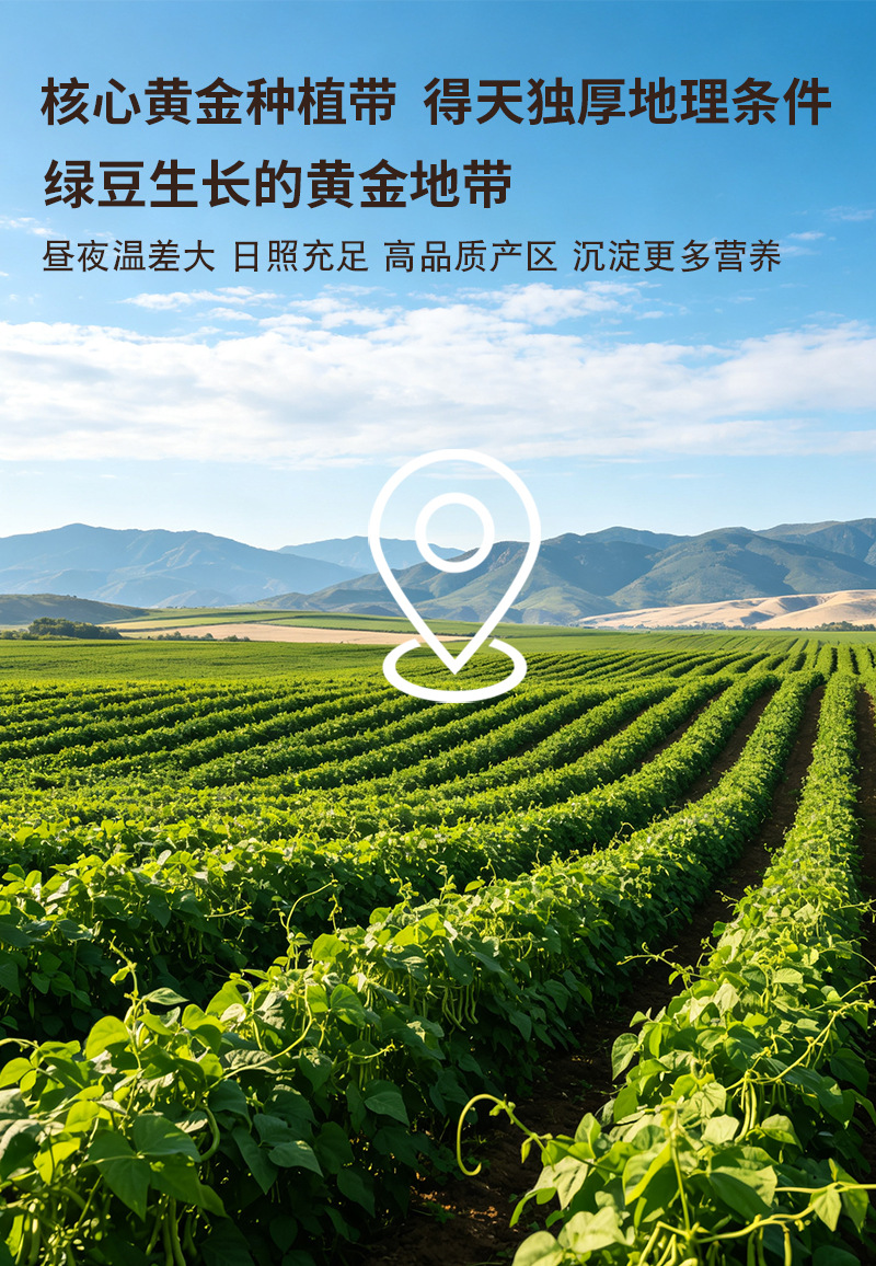 Roasted Mung Bean Powder 500g Bulk Food Grade Flour for Pastry Green Bean Cake and Drinks preparation