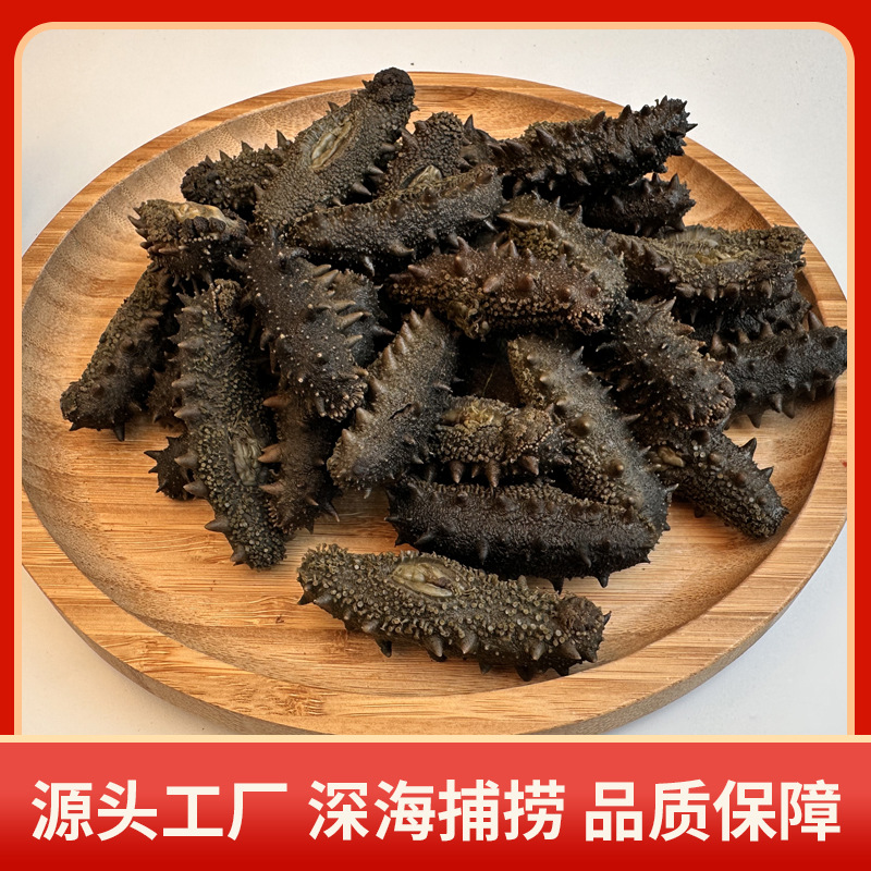 大连半干海参批发500g冷冻水产非干货拉缸盐辽刺参可食用 一件代