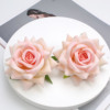 Realistic accessory, props, roses, flowered
