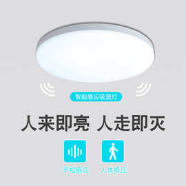 led三防吸顶灯声光控雷达感应人体感应楼道走廊感应灯