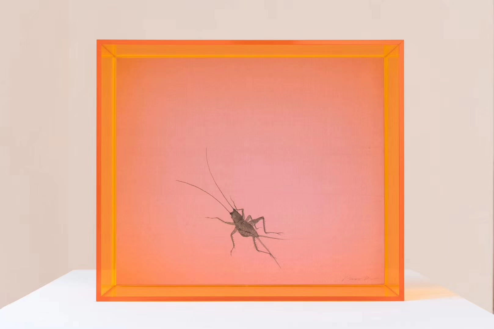 高透明亚克力相框透明画框摆台创意摆件多尺寸多颜色可选择相框画