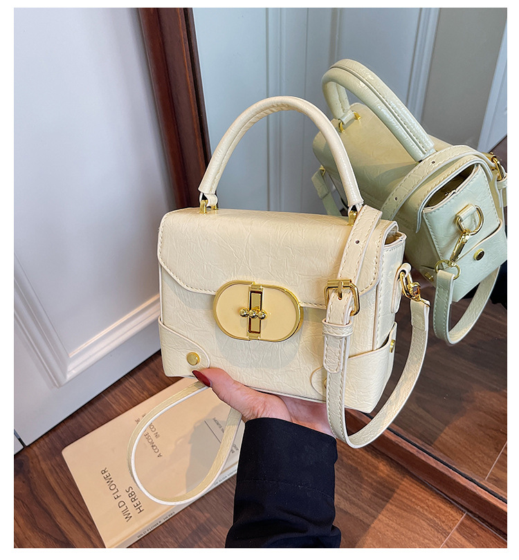 This year, the trendy square box bag for women in 2025 is a new, fashionable, versatile and high-quality single-shoulder crossbody bag full figure