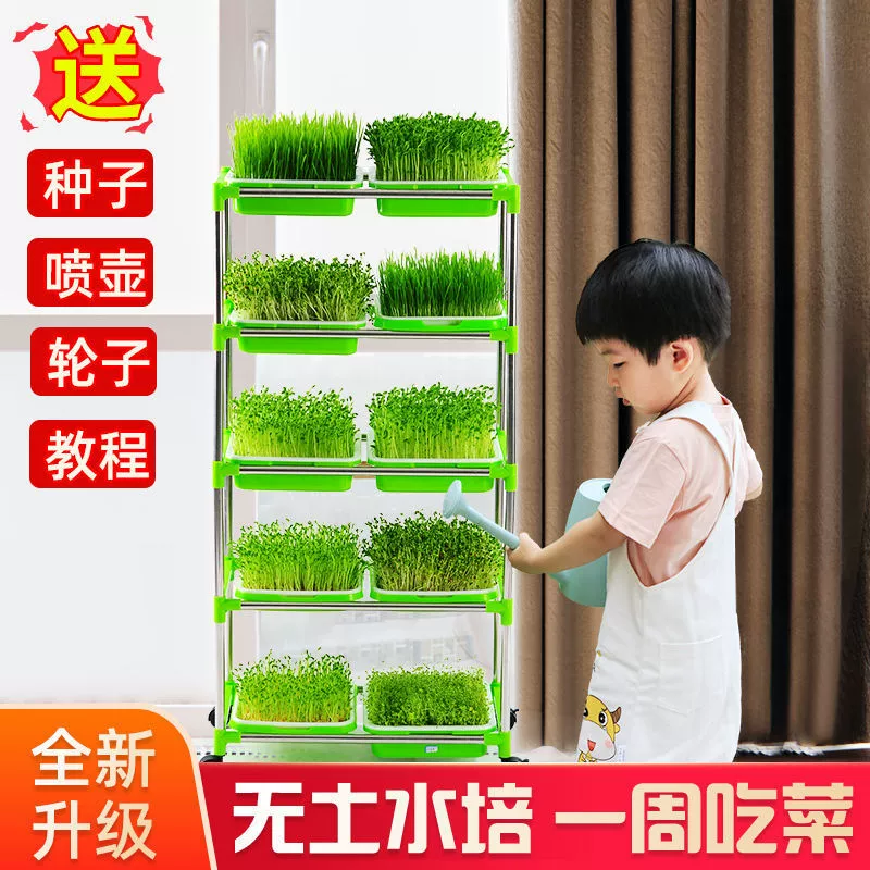 Рассеянная тарелка для выращивания рассады Оптовая продажа ростков рассады