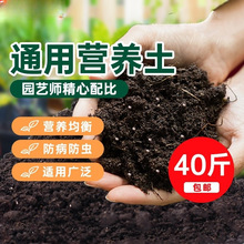 通用型营养土腐殖土养花专用绿萝有机土多肉土壤种花用松针腐殖土