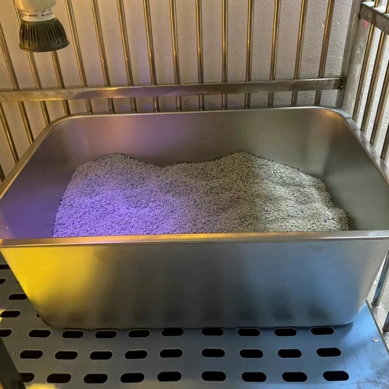 Очень большой открытый гигантский кошачий туалет из нержавеющей стали с защитой от брызг, кошачий туалет Ragdoll Maine, очень большой кошачий туалет