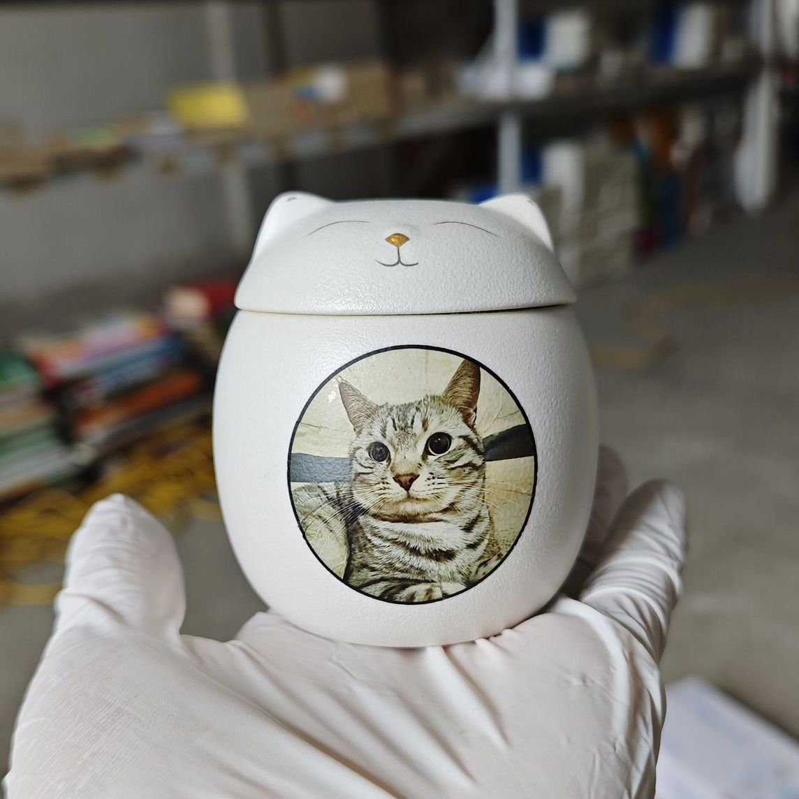 고양이/사진-소형 + 6inch 사진 받기