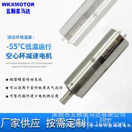 厂家生产22mm空心杯电机 行星齿轮减速电机  WKXMOTOR静音微型