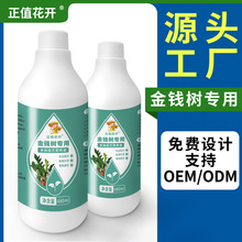 ���X��I�BҺ�������\ľˮ��ٱ�ѿ���S�~�ײ��lù�����Gֲֲ��