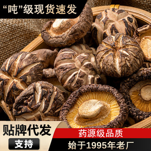 �cԪ�خa3-4cm�軨�������㹽ʳ�þ���ɢ�b�ϱ��r�aƷ������؛