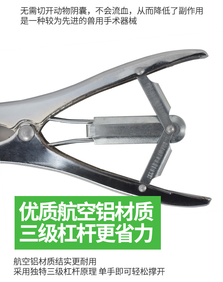 详情1_12.jpg