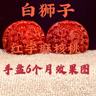 Ұ�����ǐ��ת{���^ ����һ��һ�D �Ϙ�tƤ������ƽ���A����