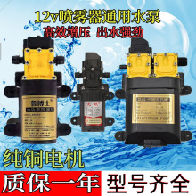 微型电动隔膜泵电动喷雾器大流量12V水泵洗车机水泵