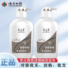 云南白药养元青500ml亮泽强韧谷物精华100ml头皮多功效规格选择