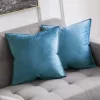 Xiaofei-靛-