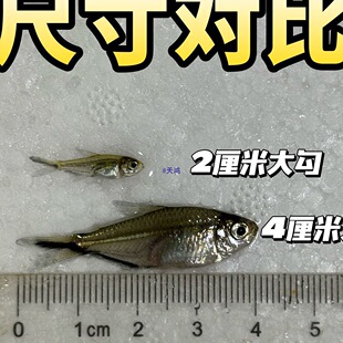 �Ꭷ�~�ݸ�Ⱥ���~��β���~Ⱥ���^�p�~�Ꭷ�~�쾰���B���w�����~