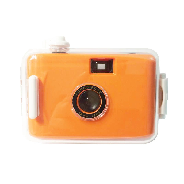 Orange white shell