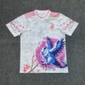Japan 28
