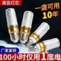变光三色客厅家用玉米灯