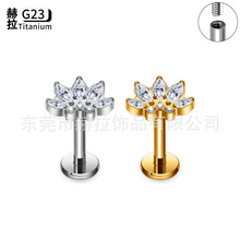 ����G23⁶����R���ʯ��ᔶ����F136⁺Ͻ𴩴��Ʒ�S��ֱ�N