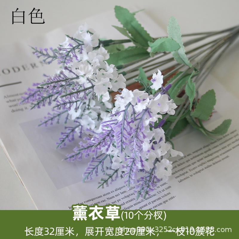 Lavanda blanca lechosa