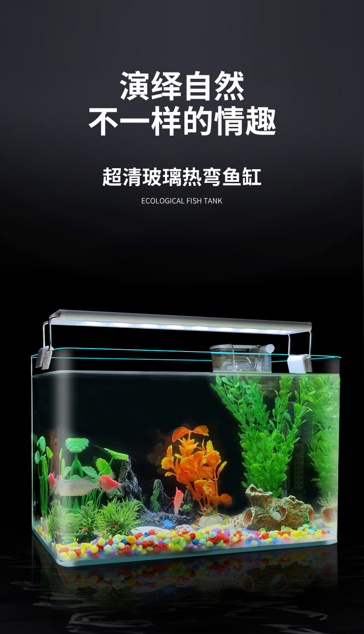 1bcb1e42-5f79-4788-8db2-1f4301c20377.jpe