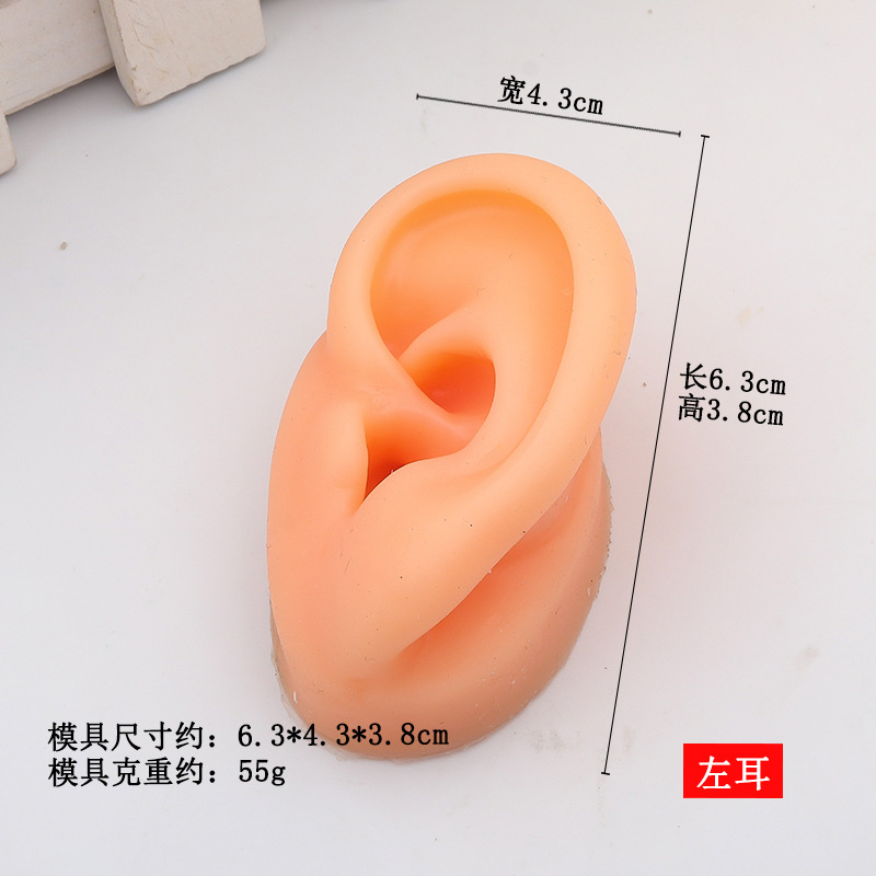 Simulación de cinco rasgos faciales, práctica de puntos de acupuntura del oído perforados, accesorios de enseñanza, clavos de lengua, clavos de nariz, pantalla de ombligo de boca, molde de silicona