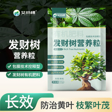 发财树专用肥颗粒有机肥要绿植花卉幸福树盆栽花肥缓释肥料