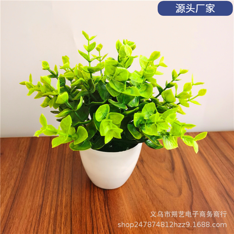 仿真植物尤加利盆景 塑料花绿植 金钱草绿植盆栽家居装饰品小摆件