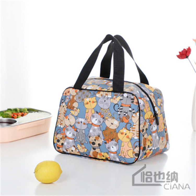 Student's Portable Lunch Box Bag Large Capacity Office Employee Cartoon Lunch Bag Children's Lunch Insulation Bag Going Out Small Bag