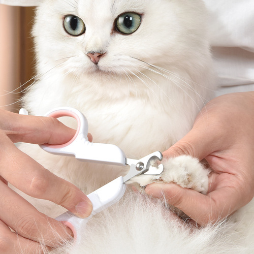 Pet Nail Clipper Small Q Cat Nail Clipper Dog Nail Clipper Stainless Steel Beauty Cleaning Supplies New Style