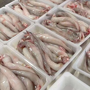 �������r�����~���^�~�r����������~���rˮ�a��S���