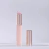 Silicone lip brush powder